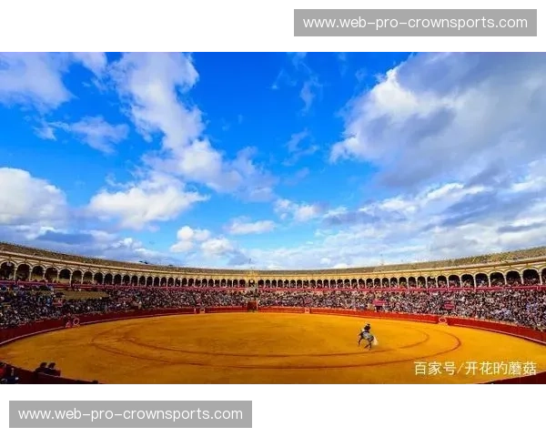 塞维利亚数据——让每一条信息都开花结果